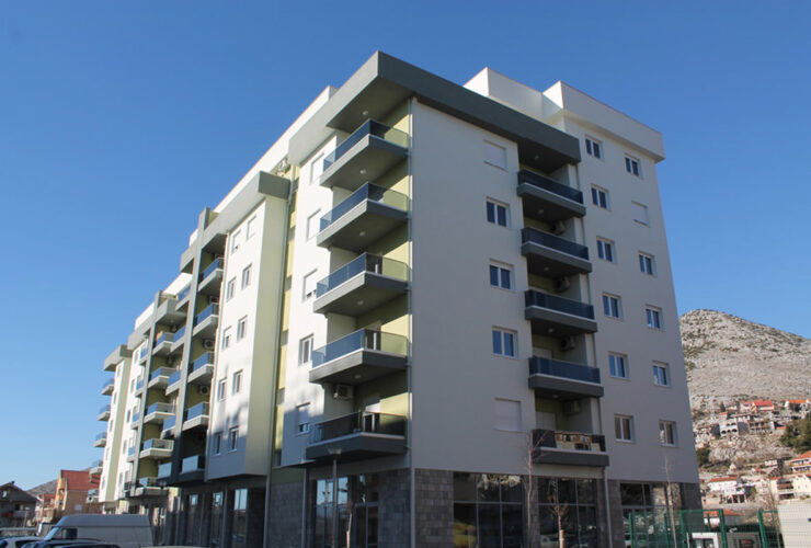 IMG_8017-cover IMG_8017-cover